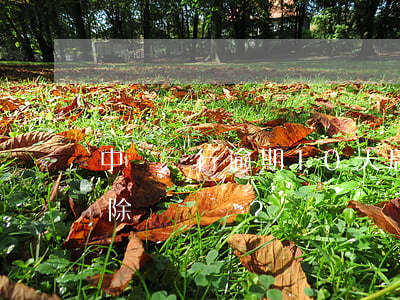 中國銀行逾期10天后，卡片限制多久可以解除？
